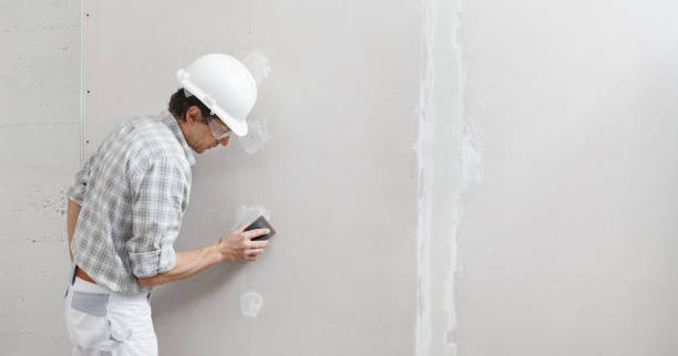 Best Basement Mold Removal  in North Olmsted, OH