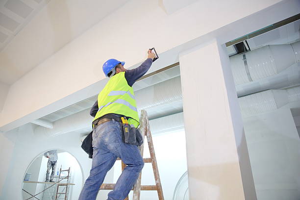 Best Post-Construction Mold Inspection  in North Olmsted, OH